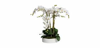 Allstate Phalaenopsis ceramic bowl