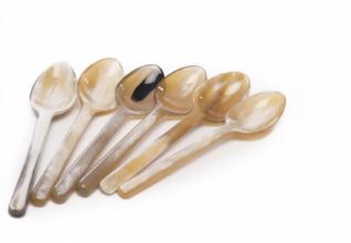 Vivo HORN SPOONS