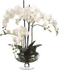 Allstate Phal/Sed/Twig in glass vase