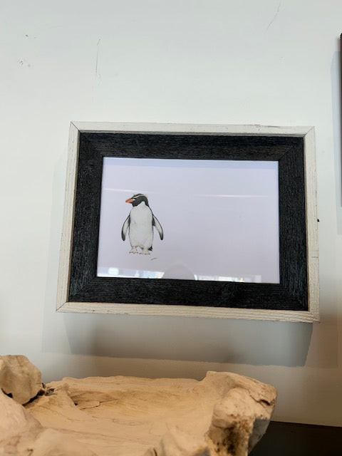 CHADWICK PENGUINS White Frame