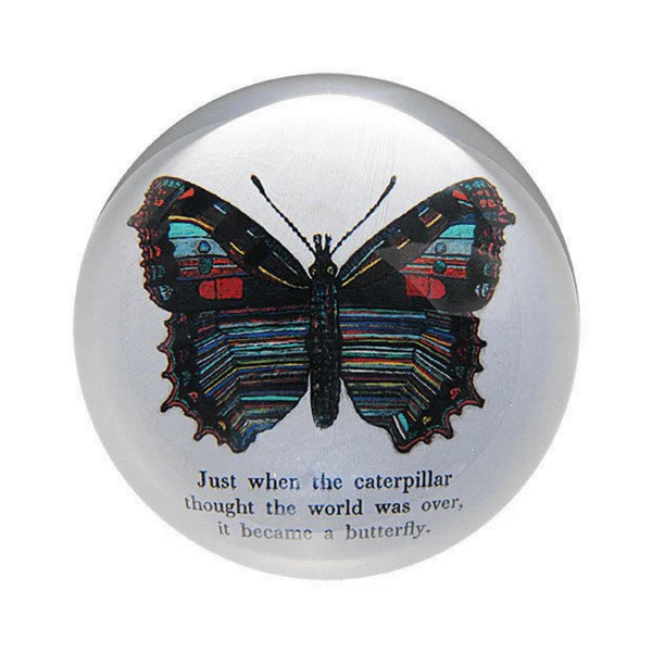 Sugarboo Paperweight Butterfly