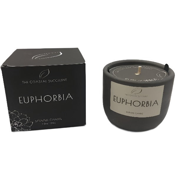 Coastal Luxury Candle - Euphorbia