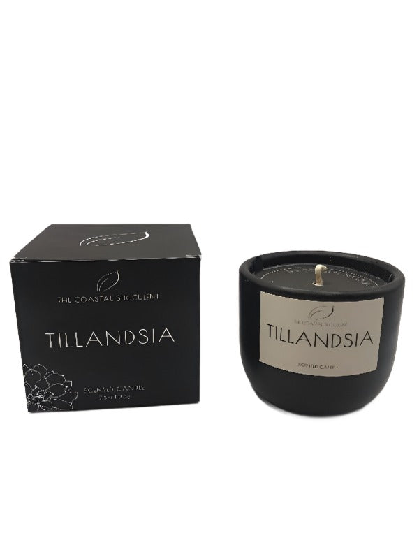 Coastal Luxury Candle - Tillandsia