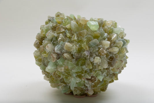 KMC Medium Sea Urchin - Celadon