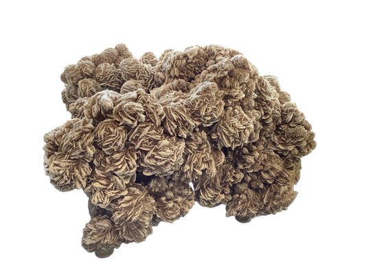 Asian Villahumada Sculpture Desert Rose