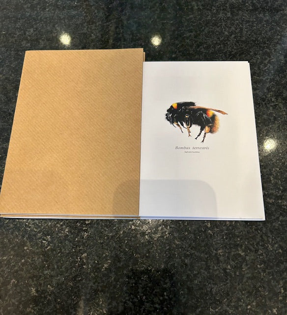 Chadwick Bombus Terrestris Card S/2