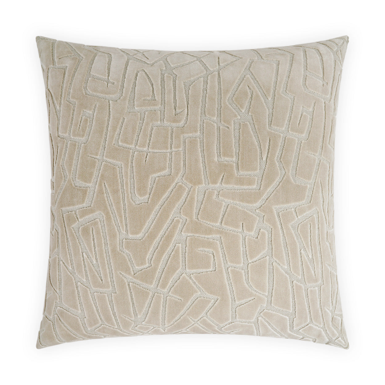 DV Kap  Fragment 22x22 Pillow