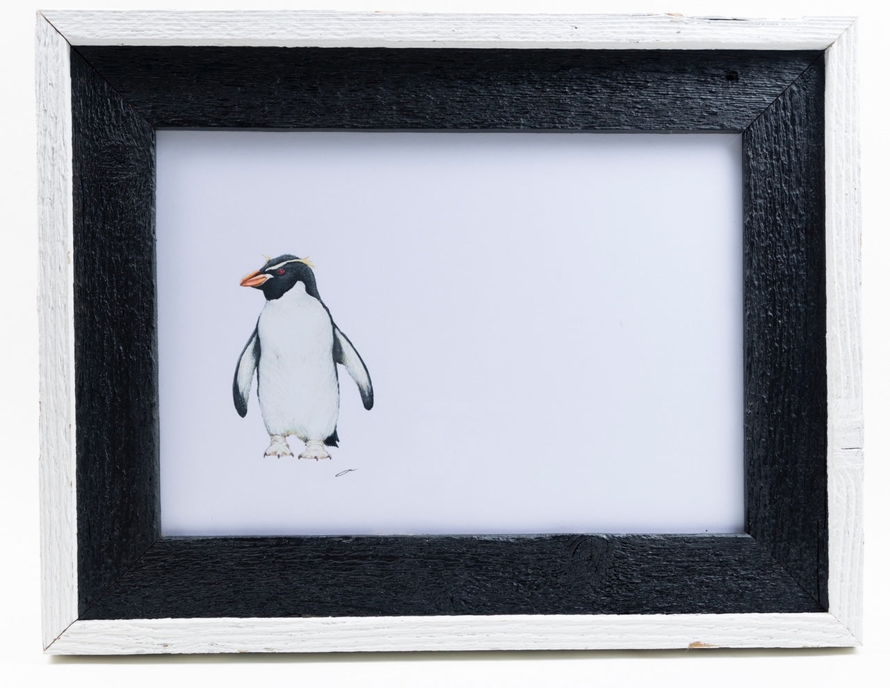 CHADWICK PENGUINS White Frame