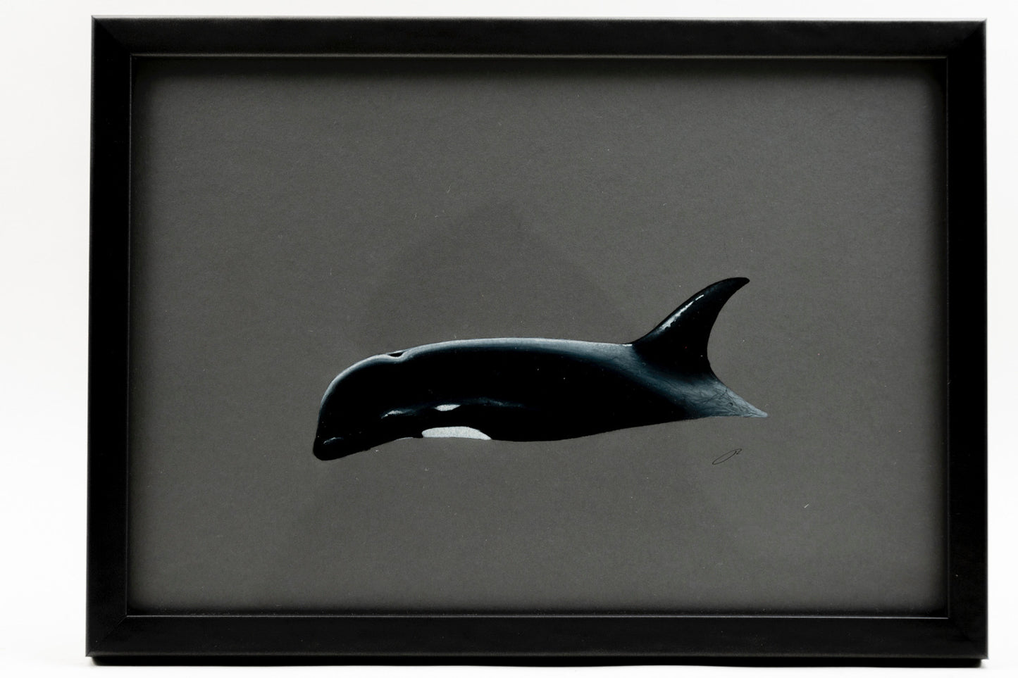 CHADWICK KILLER WHALE 3