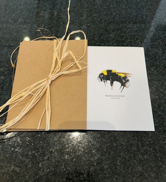 Chadwick Bombus Hortorum Card S/2